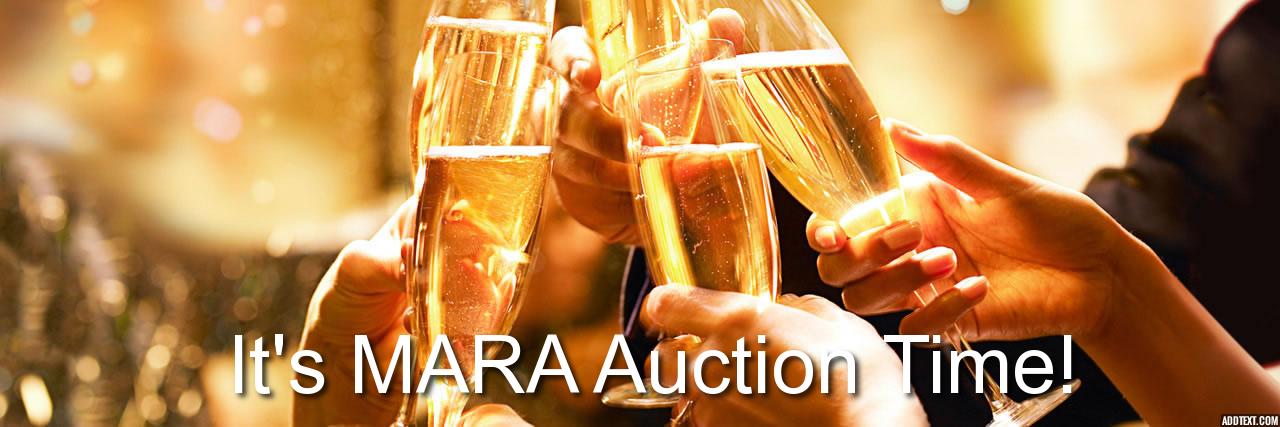 The MARA Auction Needs You!